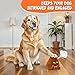 Farting Poop Plush Toy – Funny Poop Toy with 30 Hilarious Fart Sounds, Soft & Durable Gag Gift for Kids, Pets, and Pranks – Great Décor for Home, Office, or Parties