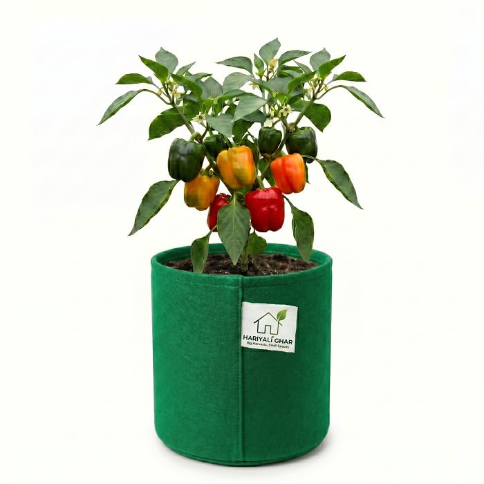 Image of 400 GSM Geo Fabric Round Grow Bags 6x6 Inch, Green Planting Bags for Terrace and Kitchen Gardening Pack of 1
