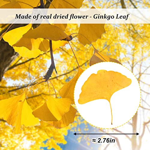 Hojas secas de Ginkgo para manualidades 42 piezas miniatura 2