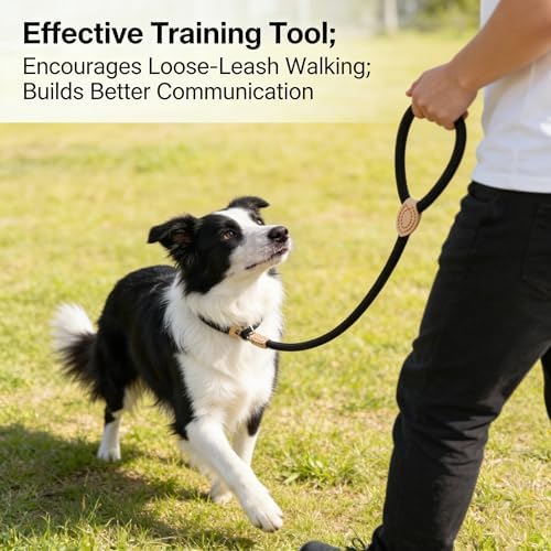 Nylon Dog Leash 5 FT Double-Sided Highly Reflective Heavy Duty for Walking Medium Large Dogs, Strong Durable Outdoor Training Leash with Secure Comfortable Grip, Black - 1