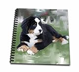 3dRose db_4038_1 Bernese Mountain Dog-Drawing Book, 8 by 8-Inch