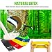 Bandas de resistencia y deslizadores – Rantizon discos deslizantes de núcleo y...