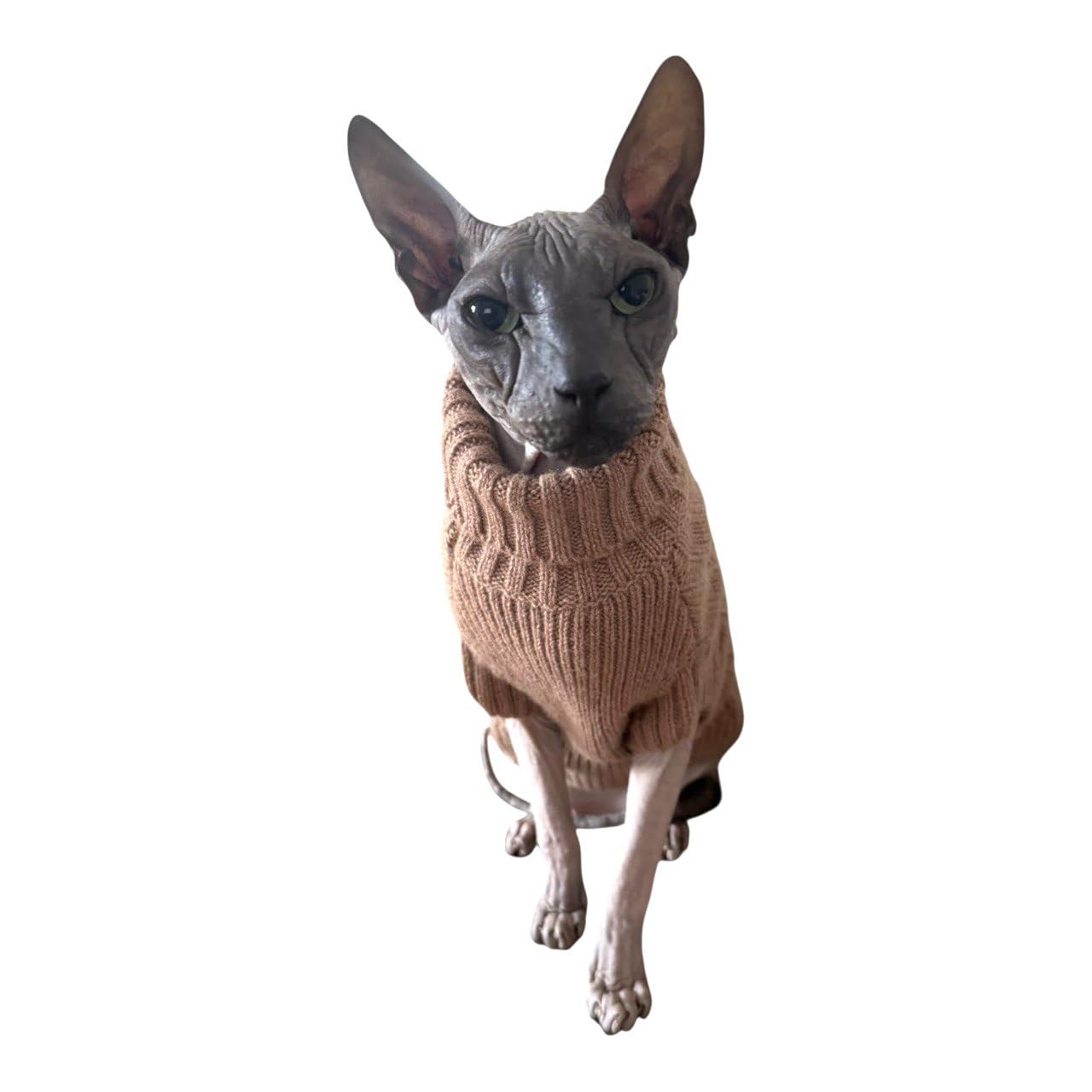 Musgo moca de cuello alto de gato, 100 % cachemira para esfinge y gatos desnudos (pequeño)