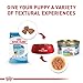 Royal Canin Size Health Nutrition X-Small Puppy Thin Slices in Gravy Dog Food, 3 oz (Pack of 24)