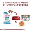 Royal Canin Size Health Nutrition X-Small Puppy Dry Dog Food, 14 lb Bag