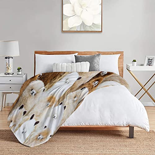 Ultra Soft Flannel Fleece Throw Blanket Alpaca All Season Warm And Cozy Quilt Blanket For Bed Sofa Couch 60"X50"For Teens #TOP3
