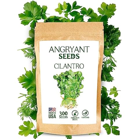 Cilantro Seeds for Planting Herb Garden - Heirloom, Non-GMO Seeds - 100% USA Grown - Easy to Grow - Pack Includes 300 Seeds Suitable for Indoors, Outdoors and Hydroponic - High Germination Rate Cover