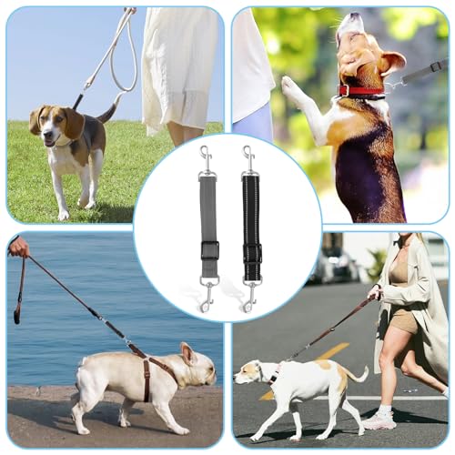 AHQiZFX 2 Stück Hundeleine,Hunde Leine Kurz,Hundehalsband Clips,Reflektierende Nylon Schleppleine,Verstellbarer Haustier Hundehalsband,Hunde Schleppleine mit 2 Karabiner,für Hundewelpen Lauftraining