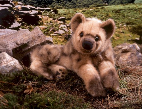 人間と動物 犬型セラピー？！ロボット？パトランの黒（通称：クロラン） 犬