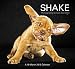 Shake Wall Calendar (2015): Photography by Carli Davidson