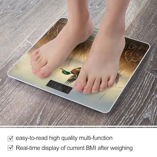 Báscula Digital de Baño con Vidrio Templado y Pantalla LCD miniatura 5