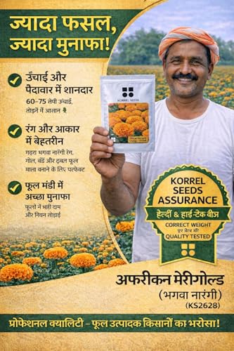 Image of African Marigold KS2628 - Semi Tall (60-75 cm) | Professional Nursery & Commercial Grade Flower Seeds | Bulk Packs for Farmers & Growers (Orange, 10 Gm)