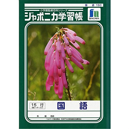 VEm[g JL-13 W|jJwK B5D15s ܂Ƃ߃Zbgy3z