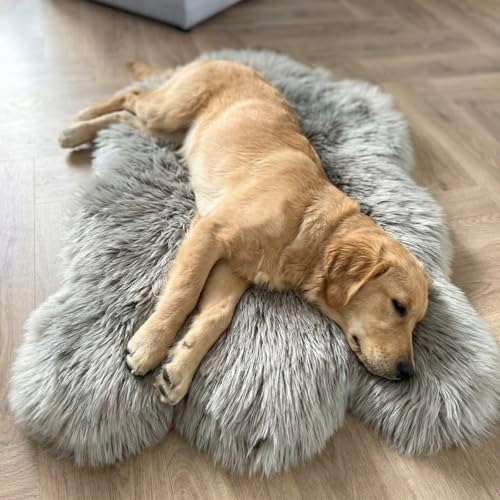 IHAPPYDOG Luxury Faux Fur Orthopedic Dog Bed, Memory Foam Dog Bed...