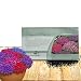 Outsidepride Aubrieta Royal Ground Cover Flower Seed Mix - 5000 Seeds