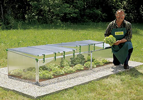 Exaco Biostar 1500 Premium Cold Frame Gardening Tool, Pack Of 1, Clear #TOP2
