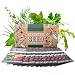 Culinary Herb Seeds Garden Collection | Deluxe Assortment | 12 Non-GMO Seed Packets: Basil, Dill, Oregano, Mustard, Cilantro, Sage, Rosemary, Thyme, Arugula, More