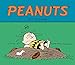 Peanuts 2017 Weekly Planner Calendar