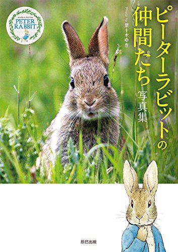 ピーターラビット の仲間たち 写真集 菜十木 ゆき 本 通販 Amazon