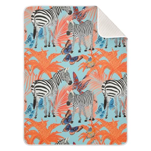 Burbuja Zebras Baby Blanket for Boys Girls, Nursery Soft Warm Swaddling Receiving Baby Blankets, 30x40 in Toddler Blanket