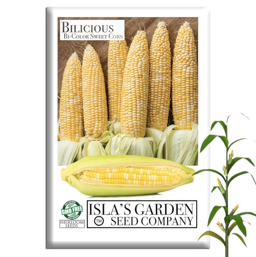 Bilicious Bi-Color Sweet Corn Seeds (Zea mays) – 50+ Non-GMO & Heirloom Seeds by Isla’s Garden Seeds, Tender and Sweet Yellow & White Kernels, Excellent for Backyard Gardens, Ideal for Home Growers