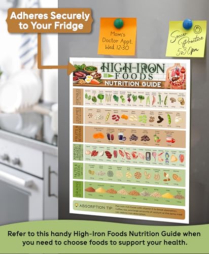 Guía Nutricional Alimentos Ricos en Hierro Iman 8.5x11 miniatura 5