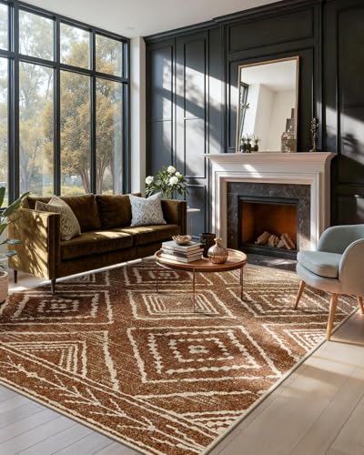 DEFYNEE Tapis de Salon Lavable en Machine 120x180 cm Tapis antidérapant, Tapis de Chambre Style...