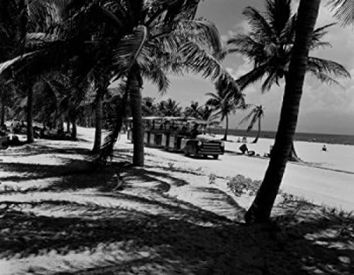 Póster de tren turístico del condado de Miami Key Biscayne Dade Crandon Park entre palmeras (24 x 36) Póster de tren turístico del condado de Miami Key Biscayne Dade Crandon Park entre palmeras (24 x 36)