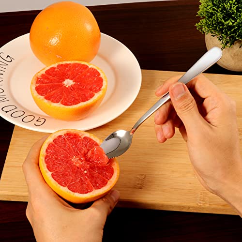 10 Pcs Grapefruit Spoons, Stainless Steel Grapefruit Spoon Utensil Set, Serrated Edge & Thick Gauge Handle, Silver Kitchen Tool With Non-Stick Plating For Kiwi, Dessert, Apple, Citrus Fruit #TOP2