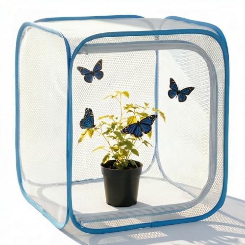 KraAra Insect & Butterfly Habitat Cage, Portable Pop-Up Terrarium with Mesh Sides, Bug Catching & Observation Enclosure for Caterpillars, Small Insects, Outdoor & Classroom Use, 12 Inches Tall