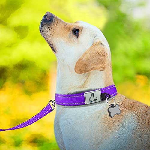 Joytale 19-23 Inches Dog Collar And 6Ft Leash, Reflective Heavy Duty Neoprene Padded Pet Collars And Leashes For Large Dogs #TOP3
