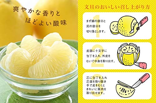 Amazon.co.jp: ぶんたん 土佐文旦 秀品 4L～L 5kg 高知県産 JA高知県