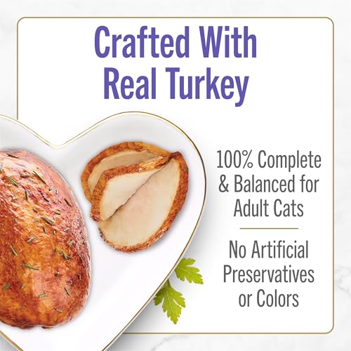 Purina Fancy Feast Petites With Roasted Turkey Entrée with Sweet Potato in Gravy Gourmet Wet Cat Food - (Pack of 12) 2.8 oz. Tubs