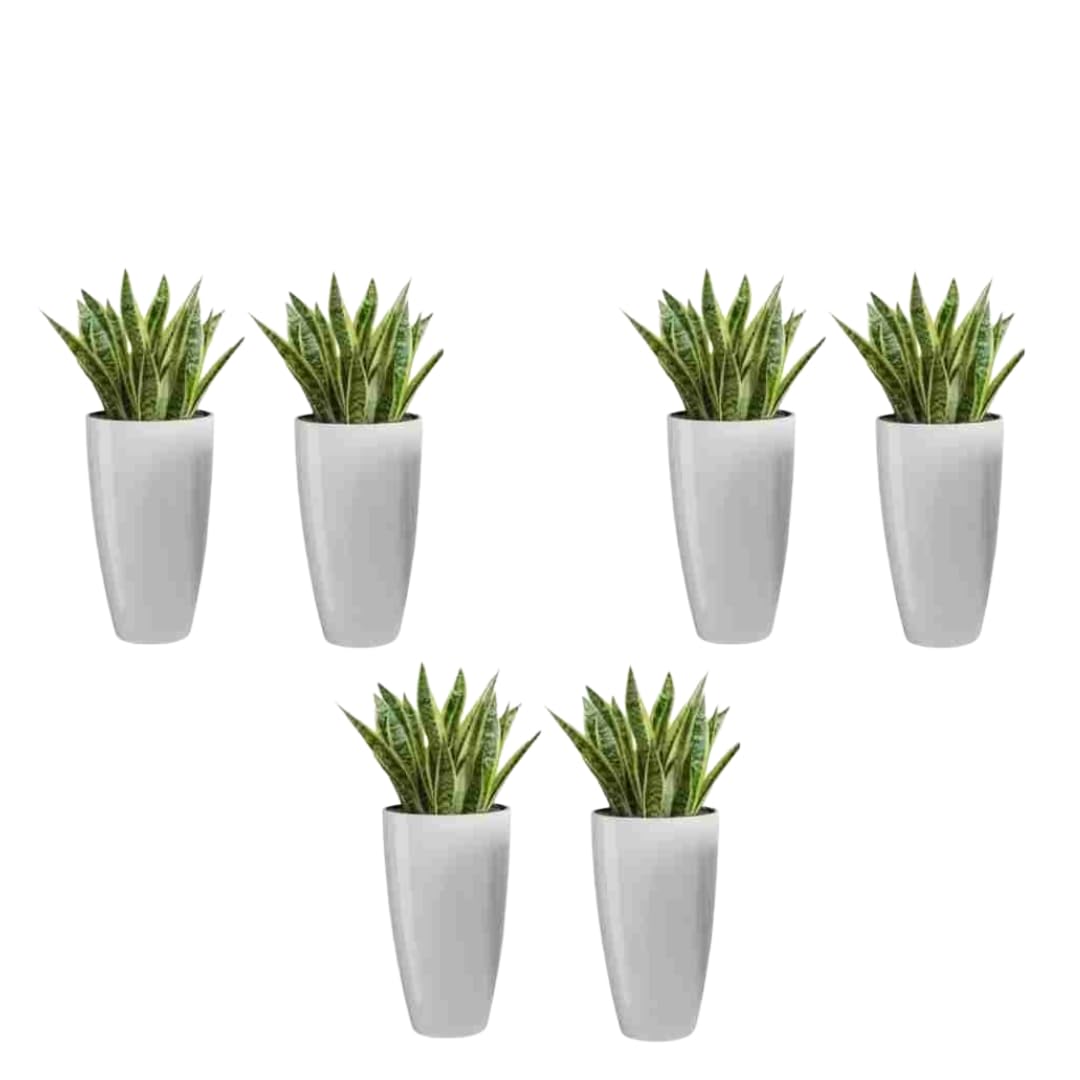 MUDDSTYLES Plastic Tower Pot 8.5 inch Flower Pots for Home Office Garden Balcony Plant Container Set (White) Set of 6 (B0D5QXHLV7) Amazon Price History, Amazon Price Tracker
