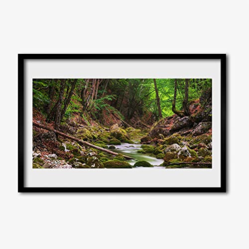 Affiche encadrée 60x40 salon déco nature forêt verte pour chambre
