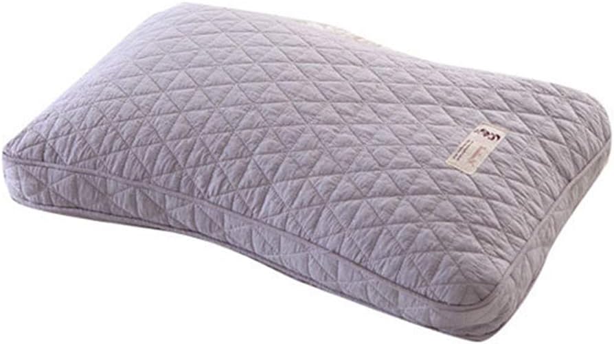 Traditional Healthy Herb Pillow with Buckwheat or Millet Hull Filling (Gray, Millet Hull)