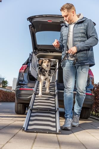 TRIXIE Hunde-Transportbox Aluminium in silber - M: 53 × 61 × 74 cm - stabile und geräuscharme Hundebox mit abgeschrägten Seiten, Sicherheitsverschluss & rutschfester Liegematte – 39341