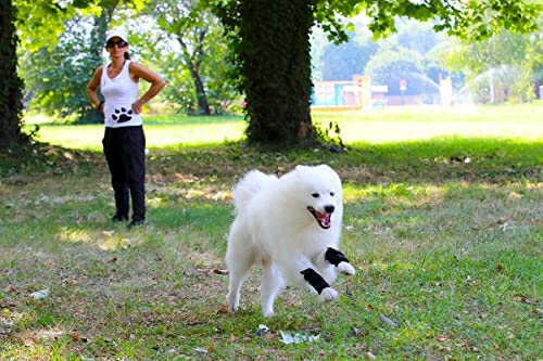 Nature Pet Sport Gelenk Bandage Gelenk- & Knochenschutz für Hunde - geeignet für Agility, Flyball und Hunde Frisbee - Bandage bei leichter Arthrose oder Leckschutz und Verbandschutz nach OP (L)