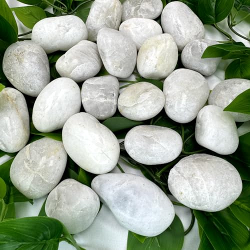 PGN White River Rocks for Plants - 5 Pounds - White Rocks with Smooth, Polished Surfaces - 1-3 Inch Stones for Planters, Aquarium Decorations, Vase, Fireplace, Landscaping, Outdoor Decor
