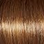 GL8-29SS Hazelnut