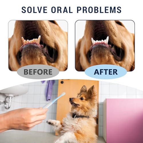 Image of Pet Toothbrush Set for Small Dogs and Cats, 4 Pack Micro Head with Soft Bristles