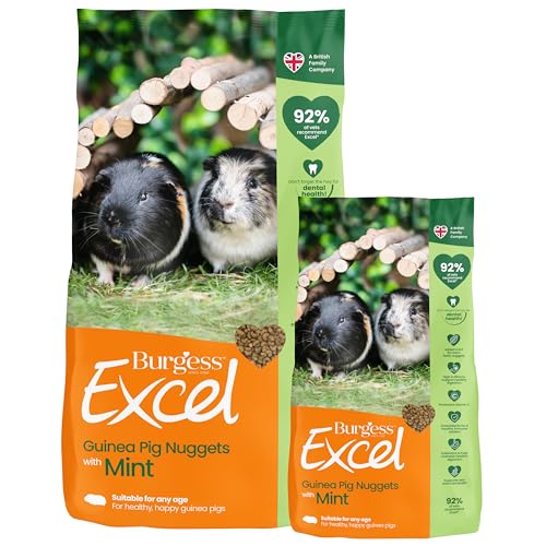 Burgess Excel Guinea Pig Food with Mint 10.5kg Guinea Pig Nuggets for Adult Guinea Pigs High Fibre Mint Guinea Pig Pellets (Mixed Pack of 2)