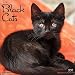 Just Black Cats 2017 Wall Calendar (Cat Breed Calendars)