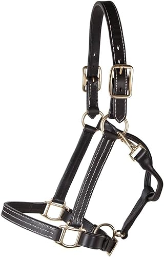 Belmont - Cabestro de cuero para caballos, cuero de grado A de primera calidad, triple costura, herrajes de latón macizo, totalmente ajustable,