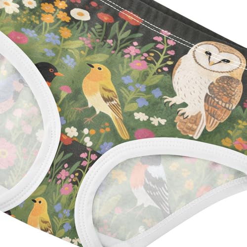 Brief Panties Panties Training Briefs Underwear for Toddlers in Sizes 2T,3T, 4T, 5T, 6Y and 8Y4