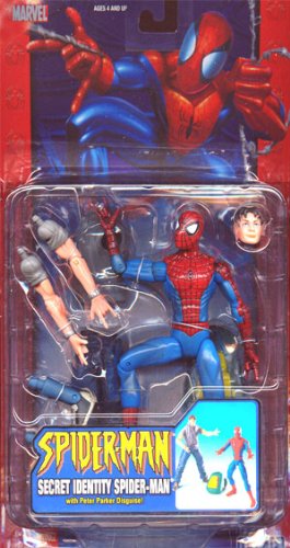 Secret Identity Spider-Man