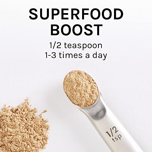 Host Defense Stamets 7 Mushroom Powder - 7 Species Blend - Mushroom Supplement for Immune Support with Royal Sun Blazei, Cordyceps, Reishi, Maitake, Lion's Mane, Chaga & Mesima - 3.5 oz (66 Servings)* - Image 6