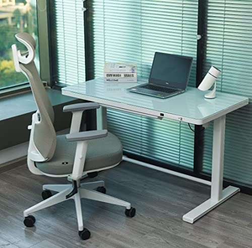 46X24 Glass Electric Standing Desk Height Adjustable Desk Home Office Desks Stand Up Desk Adjustable Height Desk With Usb/Wireless Charging/Power Strip With Drawers (Tempered Glass Top, White Frame) #TOP1