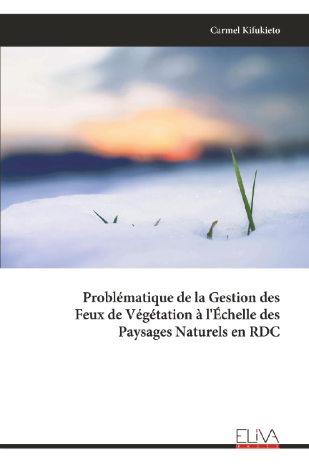 Problématique de la Gestion des Feux de Végétation à l'Échelle des Paysages Naturels en RDC