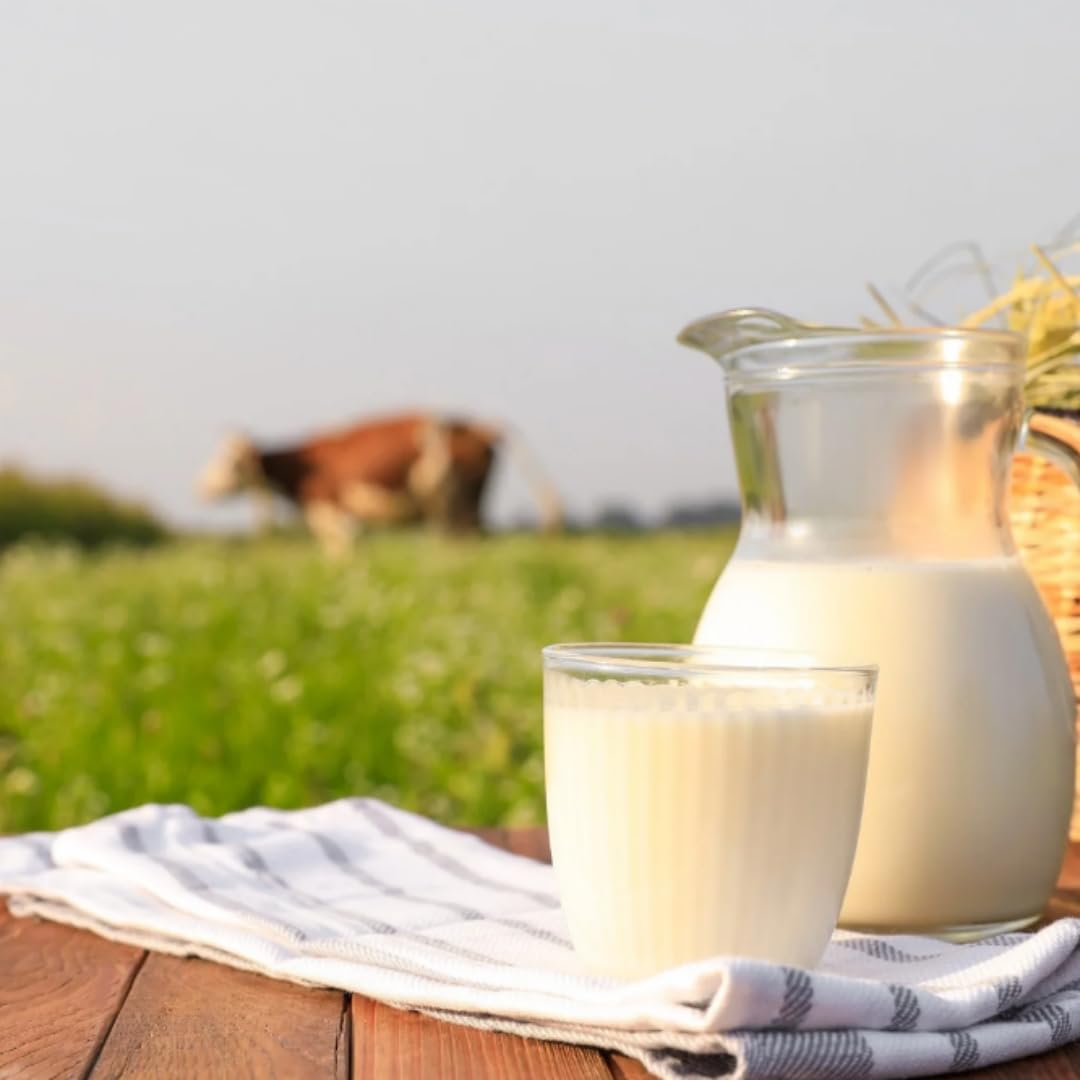 Milch Berchtesgadener Alpenmilch Land H-Milch 1,5% Fett Haltbare Milch Bergbauern-Milch, je 1 Liter, 24 Stück+ pufai